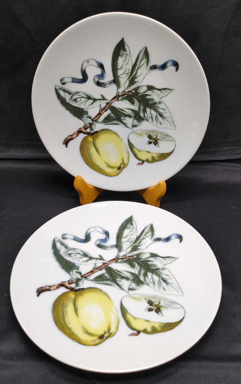 Two Bareuther Waldsassen Bavaria Porcelain Plates Pyrus Malus Hand Painted Vtg